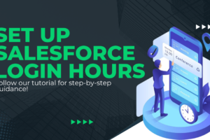 how to Set Up Salesforce Login Hours