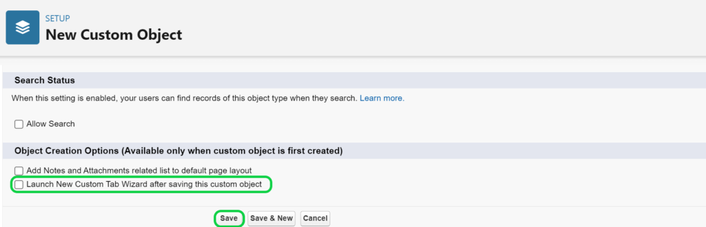 checked Launch New Custom Tab Wizard while creating custom objects