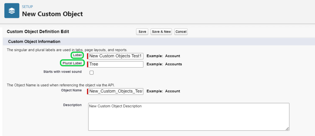 Add label and plural label while creating custom objects